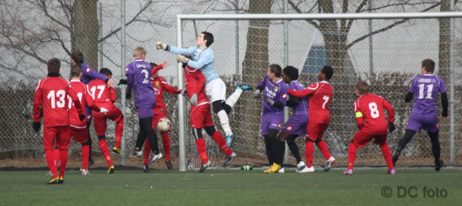 HOLB FCN073